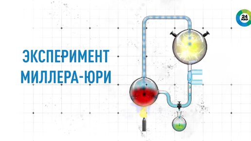 Что говорят о зарождении жизни на Земле новейшие исследования?