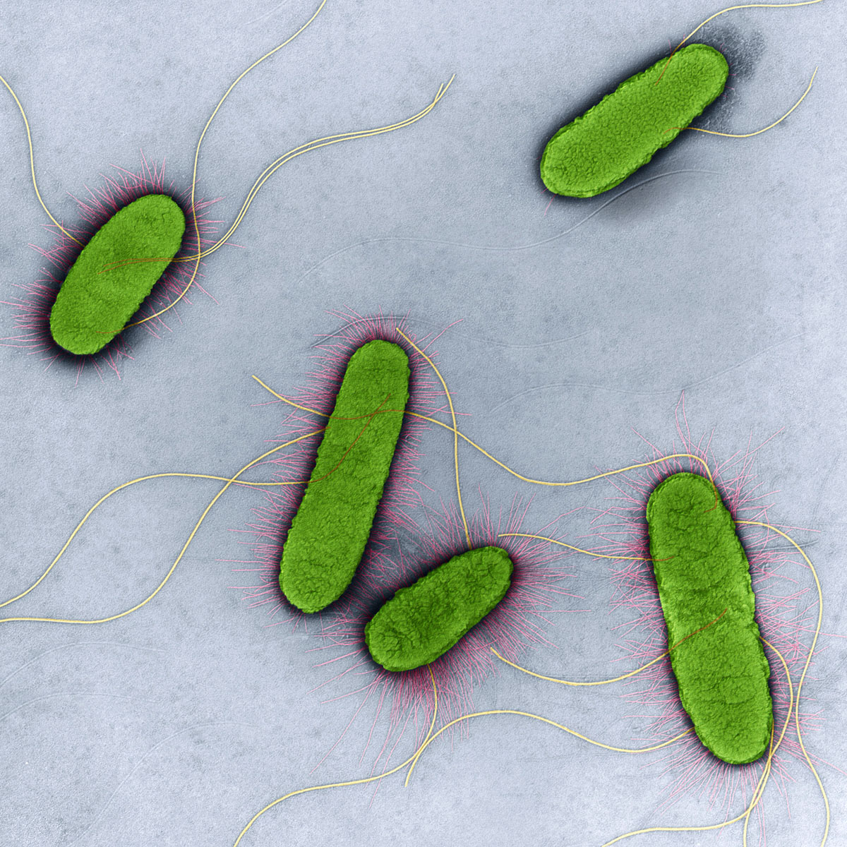 Фото: science.org