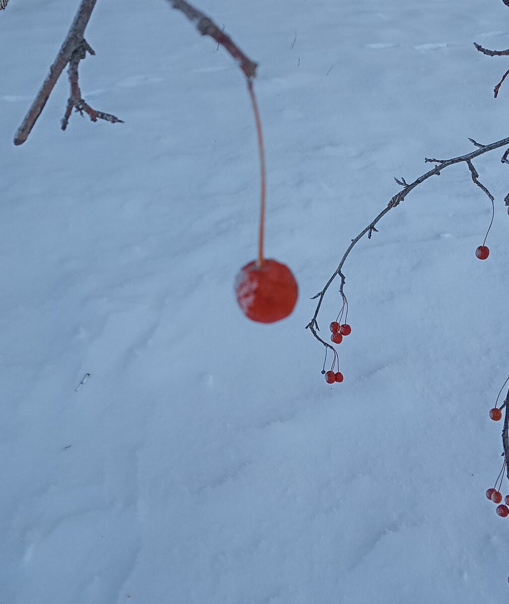 Сегодня последний день актировки у старшей -35🥶завтра потеплеет до -27, придется Анне в школу идти