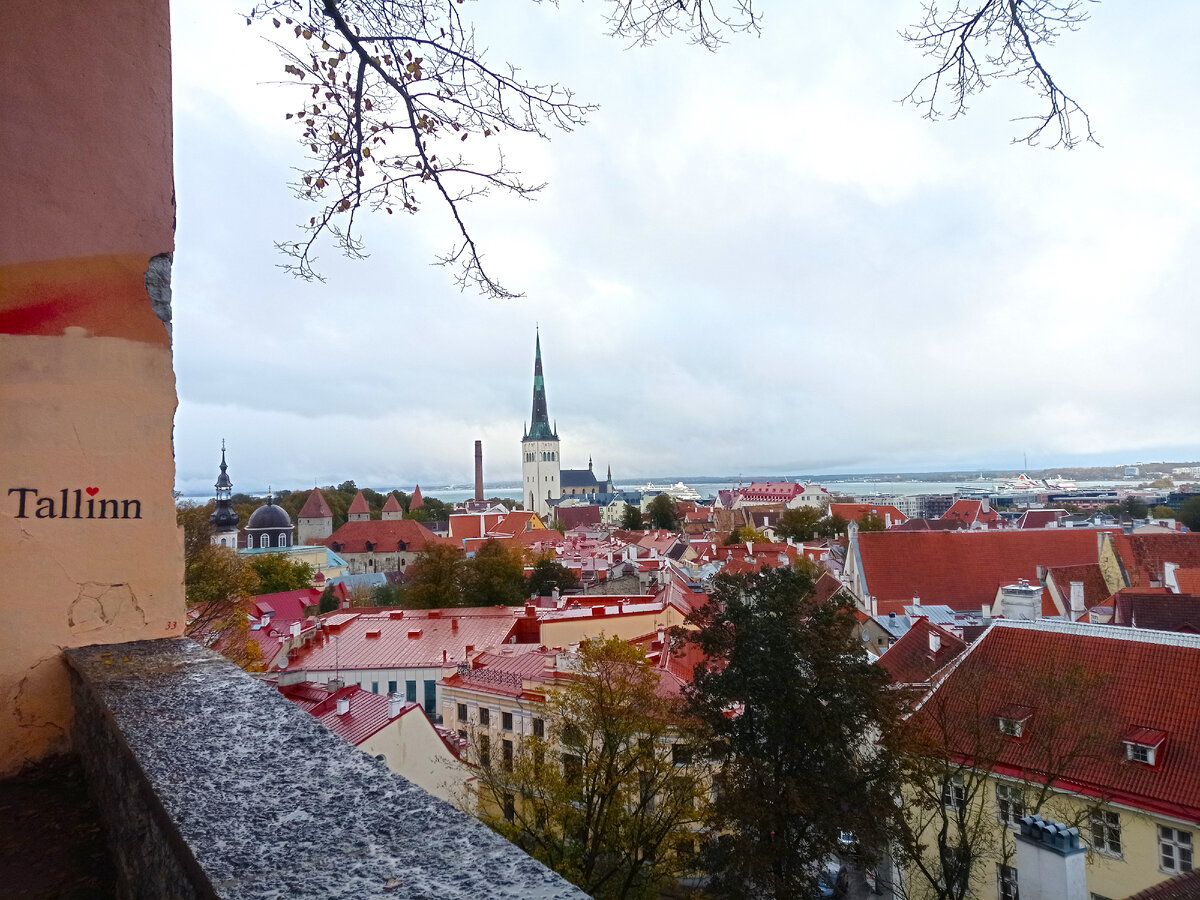 Вид со смотровой площадки в Таллине. Фото автора