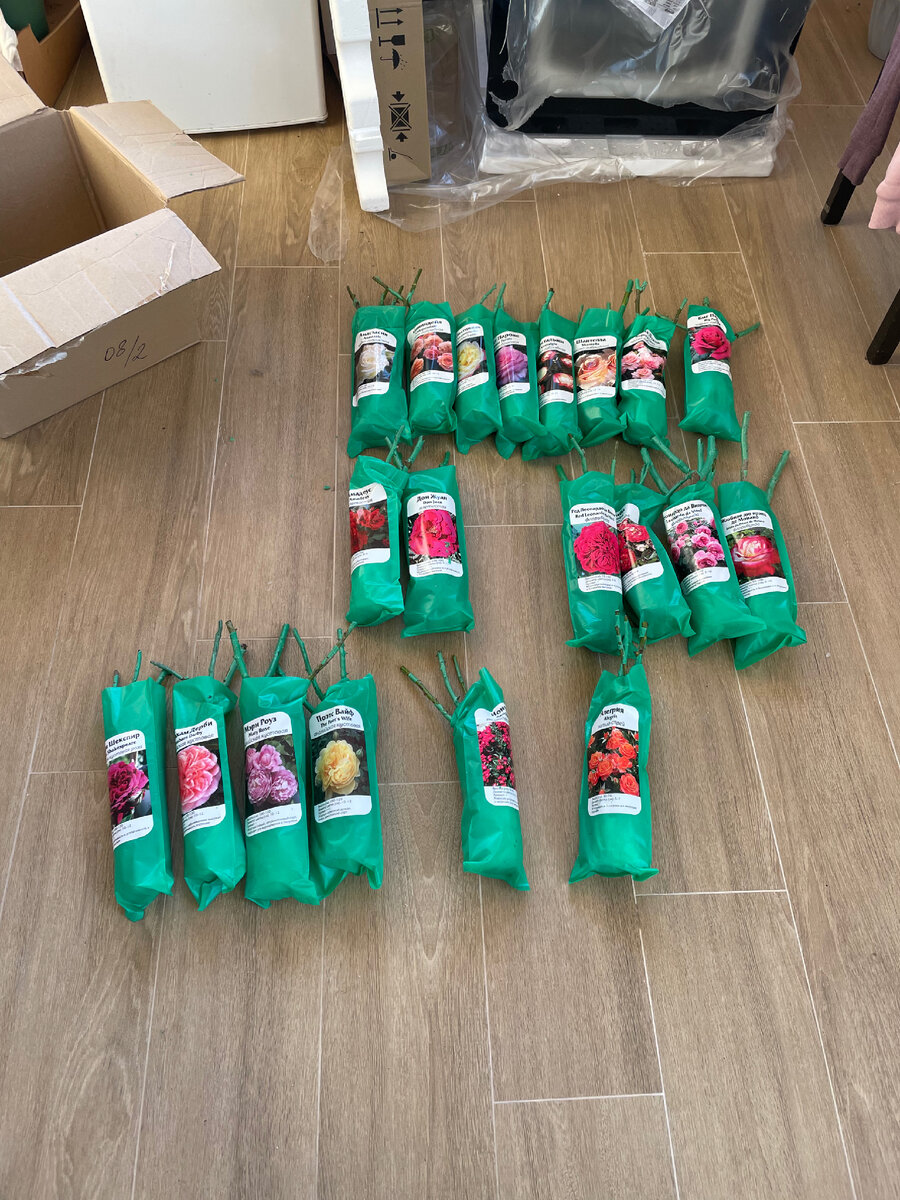 Здесь ещё не все