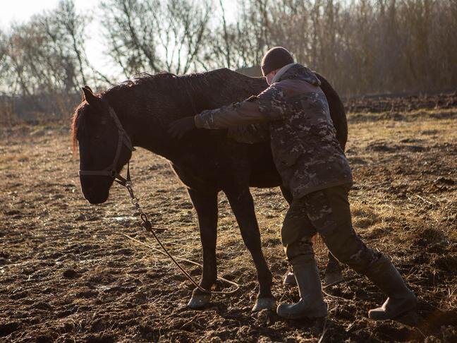 Фото: Алексей Дацковский