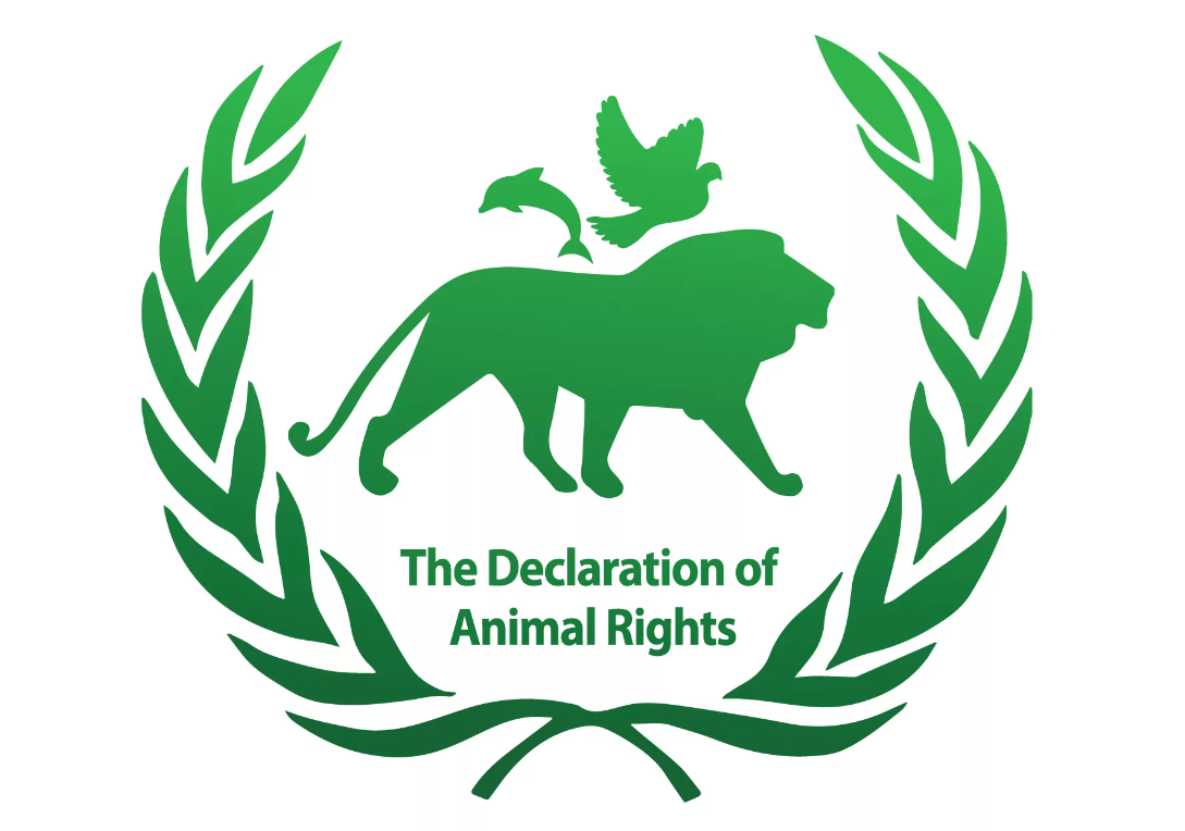 Конвенция о животных. Защита животных. Защита прав животных. Организации по защите животных.