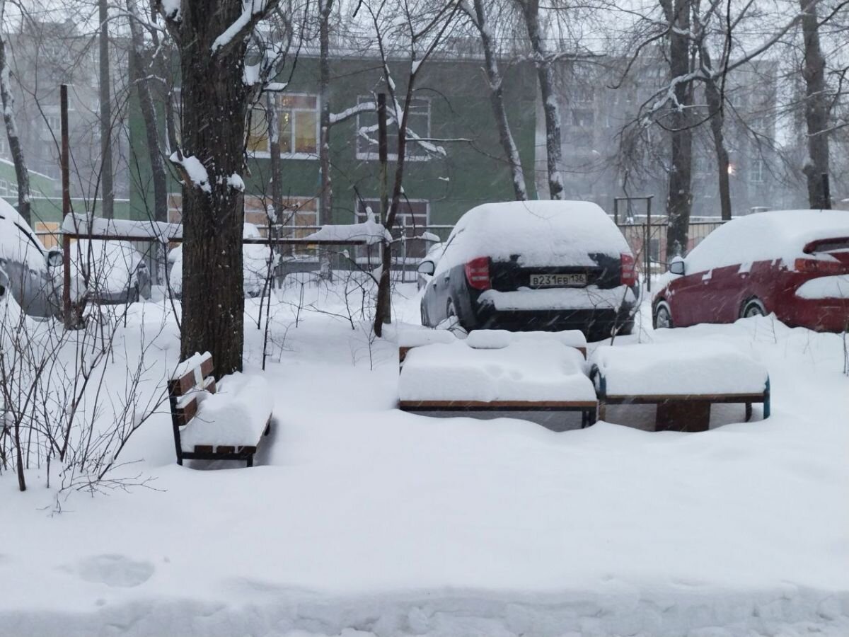 Превысит полметра: в Воронеже к концу недели ожидают абсолютный рекорд по  высоте снежного покрова | «Воронежские новости» | Дзен