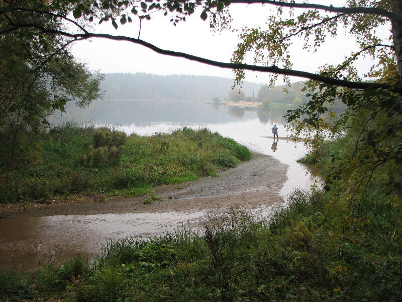 Место, где Гнилуша впадает в Москву-реку, 2000-е. Фото отсюда: https://medvedkovsky.narod.ru