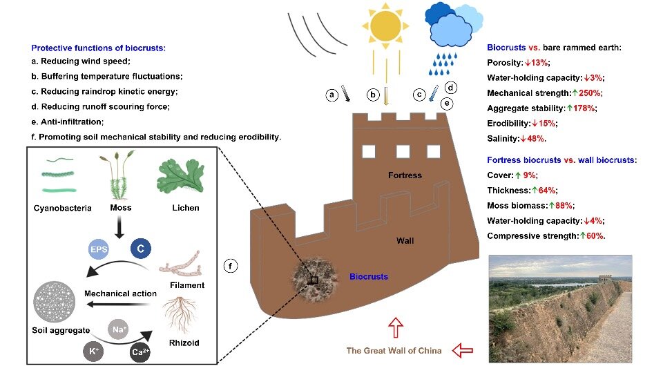   Bo Xiao et al. / Science Advances, 2023