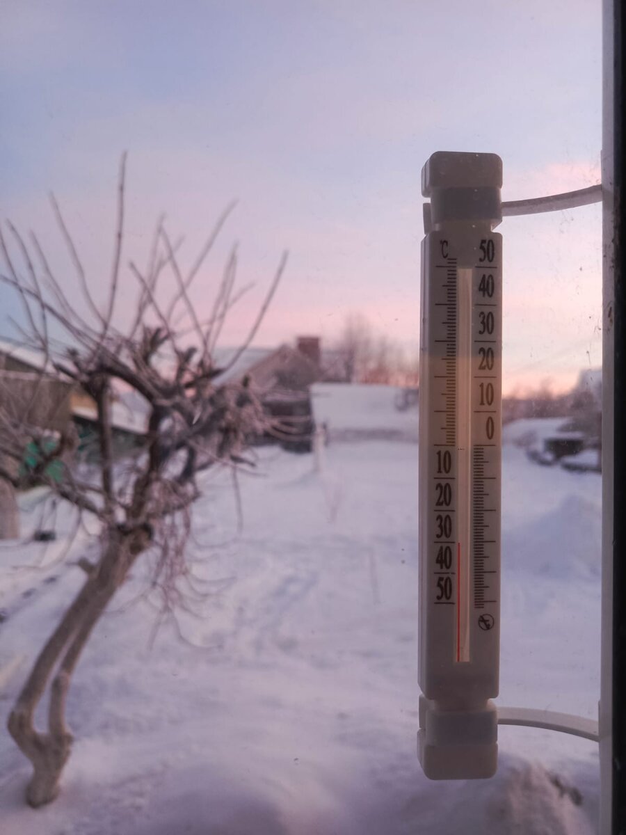 И так каждое утро...