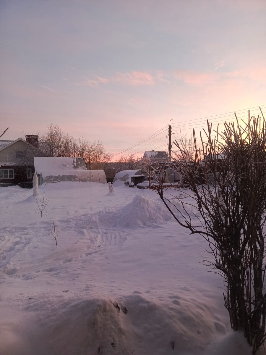 Рассветы розово-голубые, очень красиво..