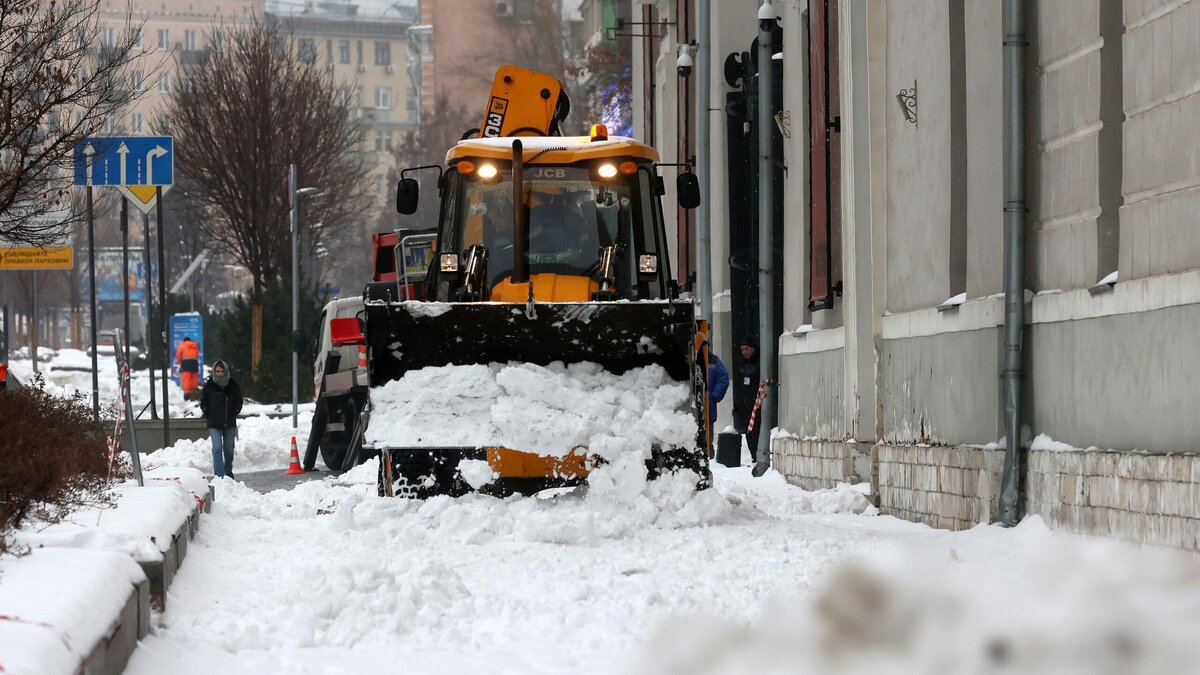    В Центральную Россию придут аномальные снегопады© РИА Новости / Виталий Белоусов