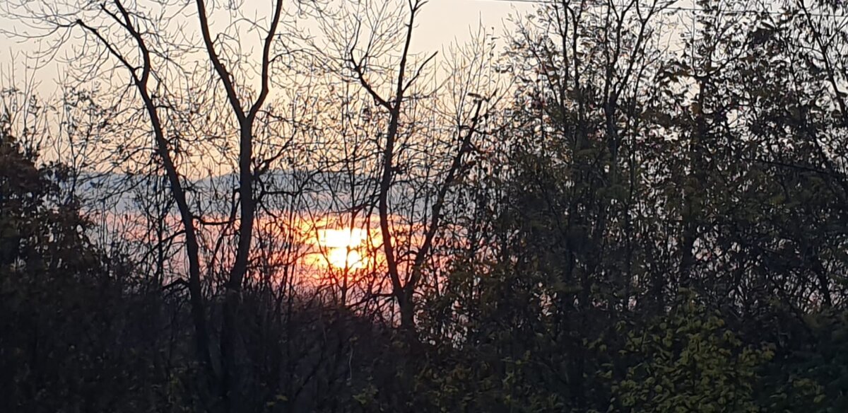 Фото Елены Лабо 