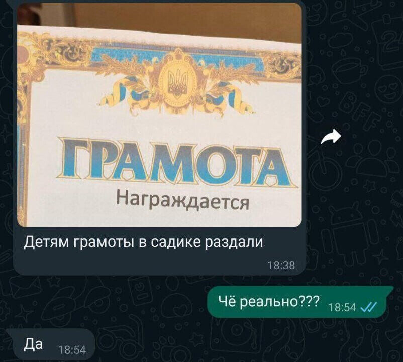 Грамота с символикой украины. В барнауле выдали украинские грамоты. Грамота с символикой украины. Грамоты украинских детей. Грамота по украински.