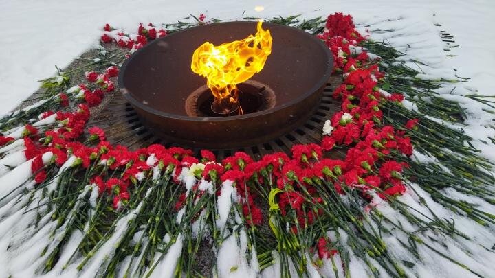 Фото: globallookpress.com / Zamir Usmanov