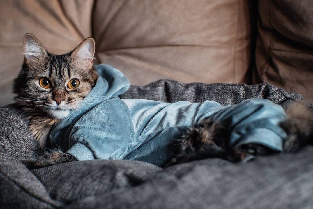 На фото — костюм «Изумрудный плюш», Triol. Автор фото — businka.travel.