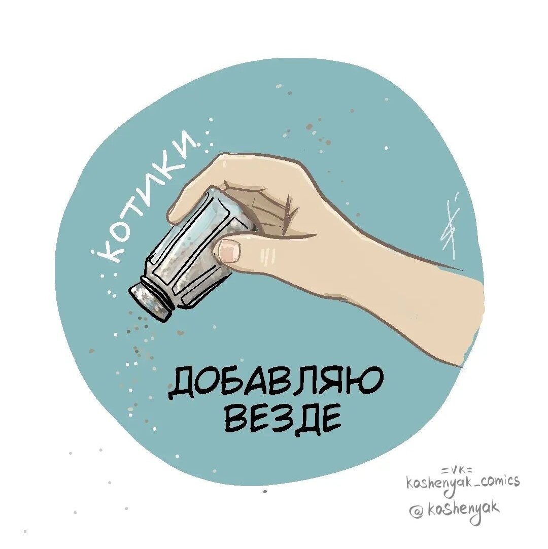 Вот это – одобряем😼😼