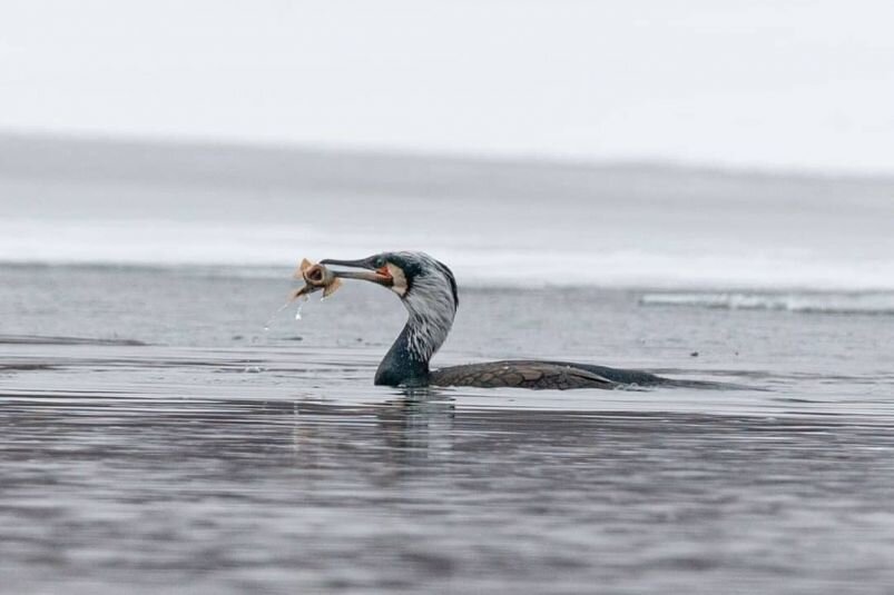    Фото: Павел Петрушин