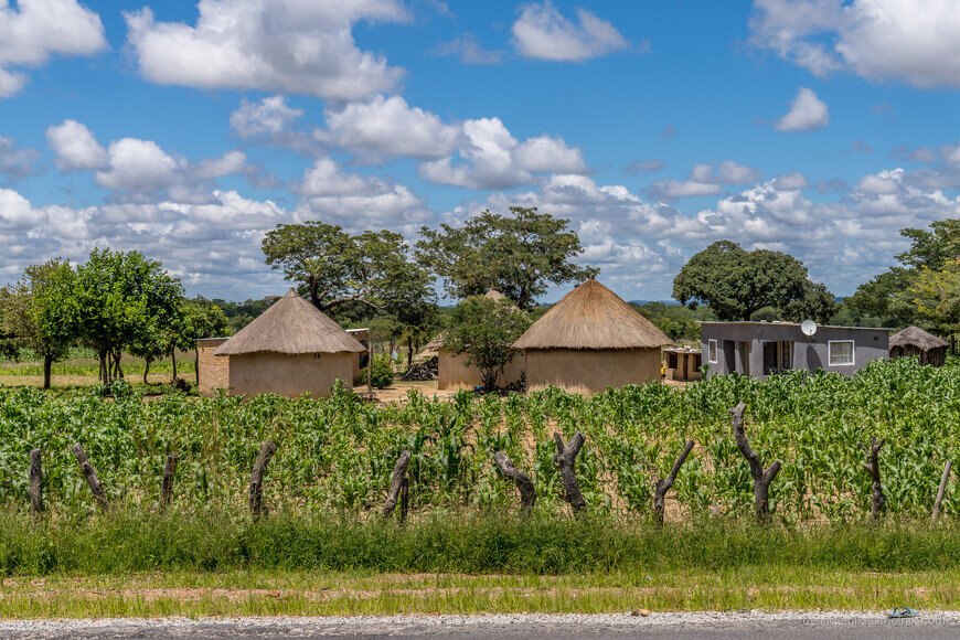 Это — традиционная зимбабвийская деревня. Они в изобилии встречаются вдоль шоссе. Люди до сих пор массово живут в таких традиционных хижинах © Илья Мельник