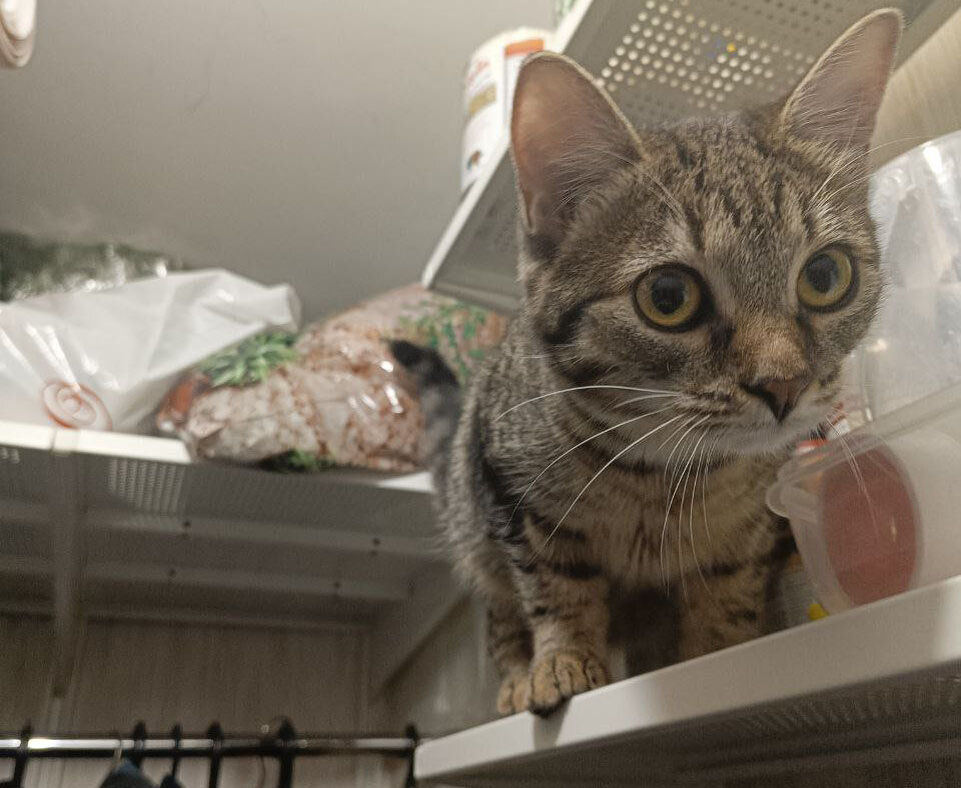 Куда я еще не забралась?