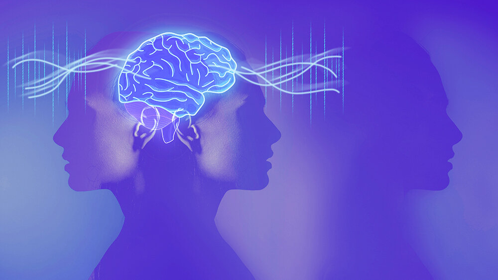    Фото: Shutterstock