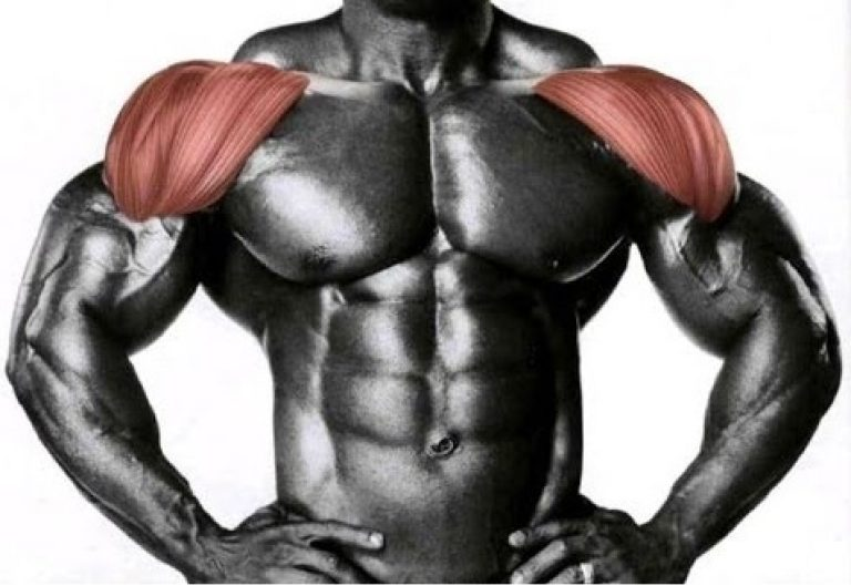 Источник фотографии: Яндекс картинки 
