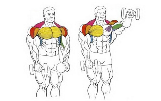 Источник фотографии: Яндекс картинки 
