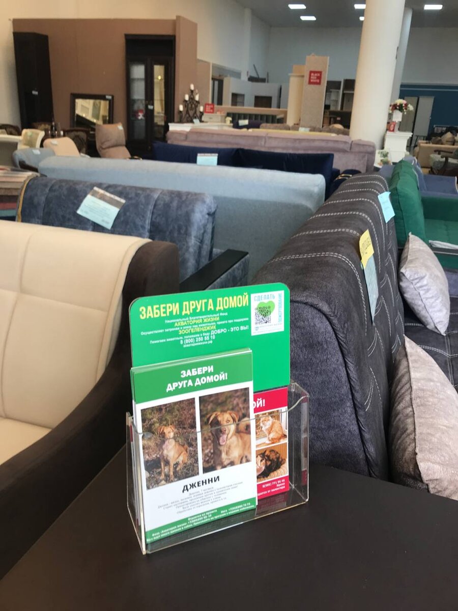 Инфо-буклетница с открытками животных 