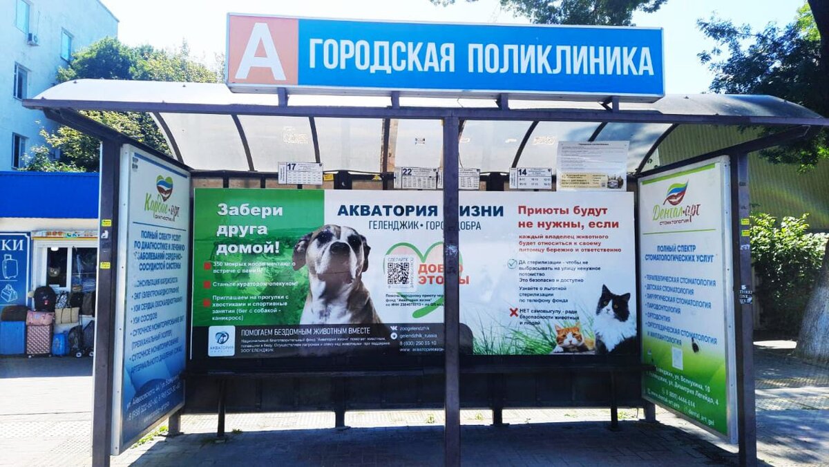 Проект "Забери друга домой"