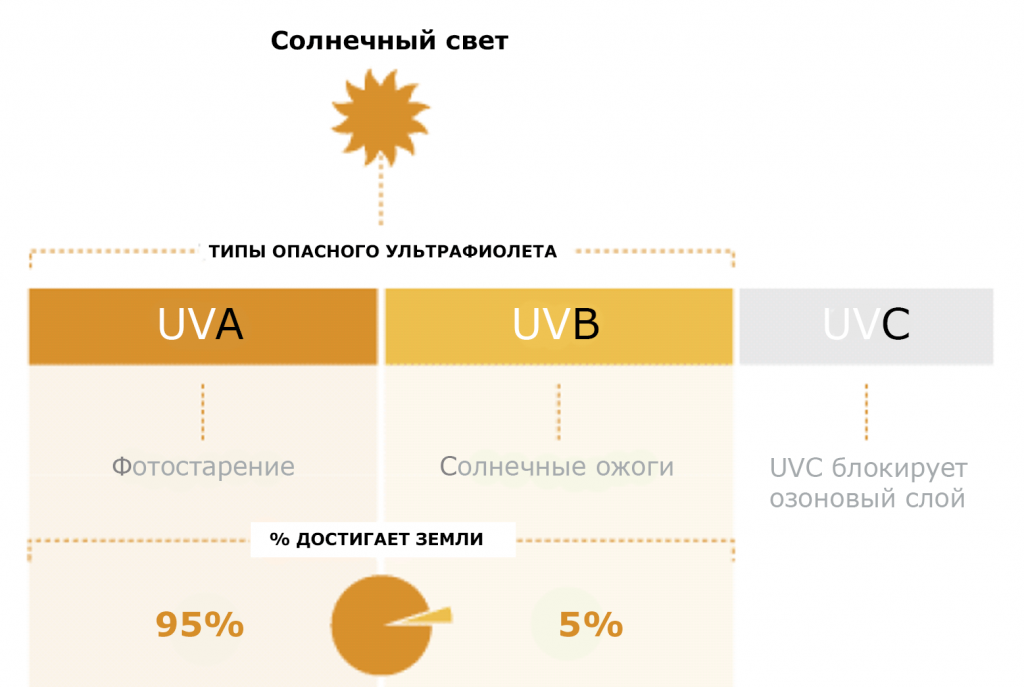 Действие UVA и UVB лучей на кожу человека