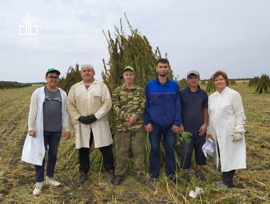 п. нцз зерна им п п лукьяненко. книисх им. национальный центр зерна имени лукьяненко. п лукьяненко.
