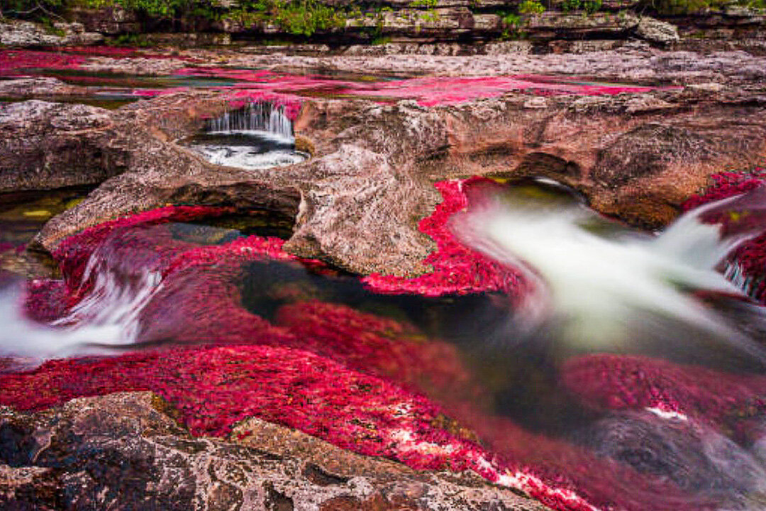 Este greu de imaginat un râu mai fantastic decât Caño Cristales, care curge în Columbia.-3