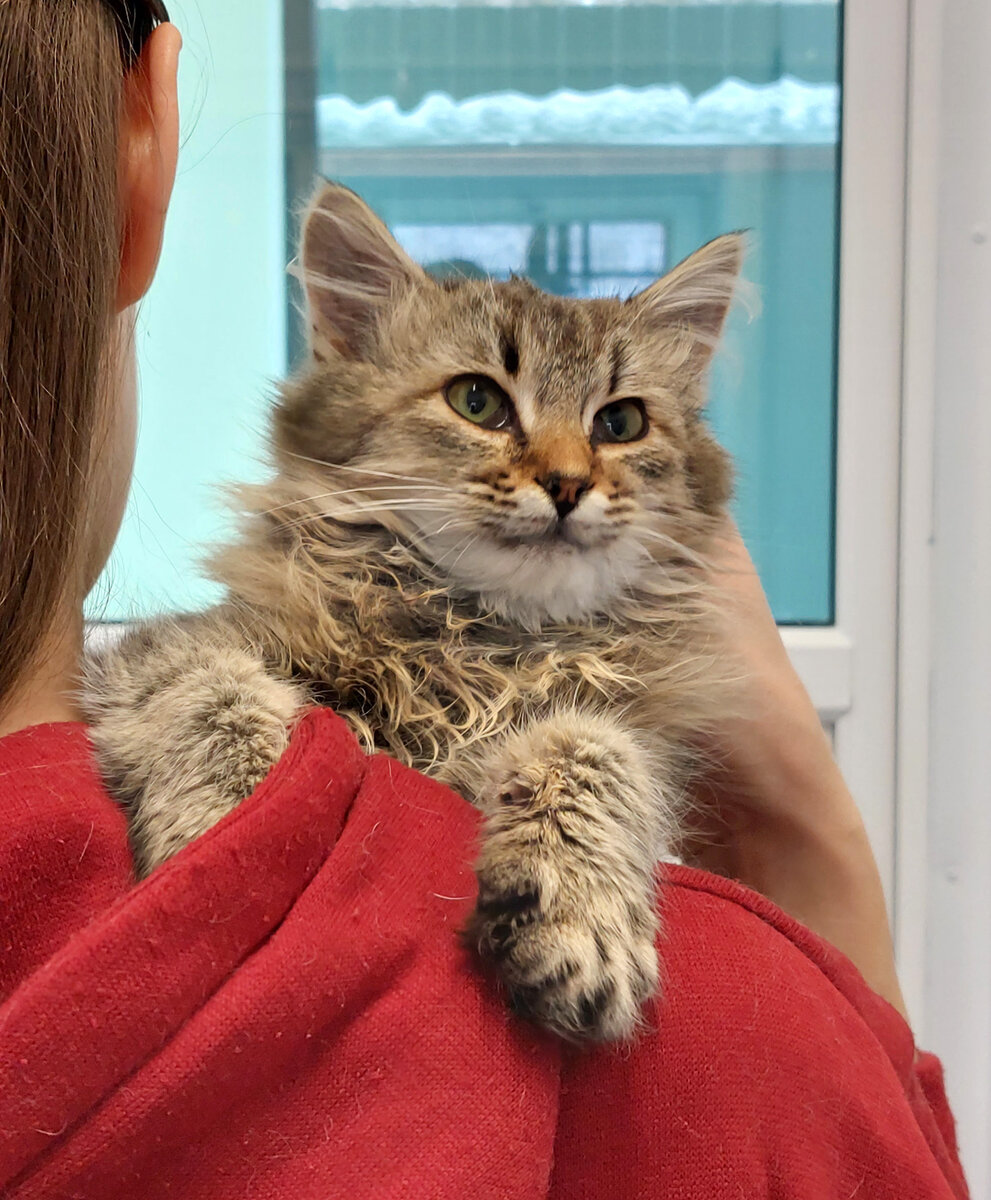 Савелий в приюте. Фото автора.