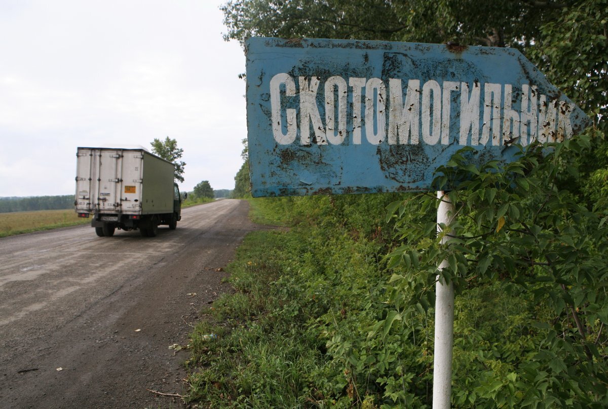    В России запретили строительство новых скотомогильников