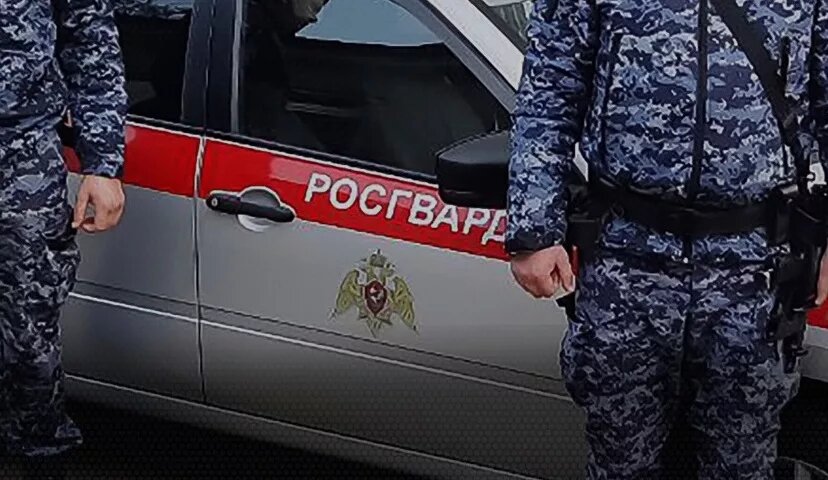 Росгвардия на украине. Росгвардейцы на украине. Информация о росгвардии. Закон о добровольческих формированиях в составе росгвардии. Социальные гарантии сотрудников войск национальной гвардии.