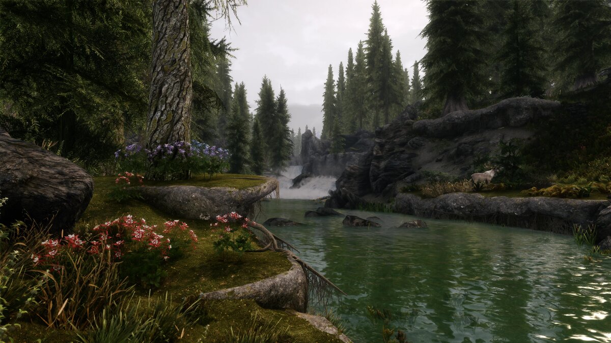 30 лучших модов на графику для Skyrim — новые текстуры, модели, освещение |  VK Play | Дзен