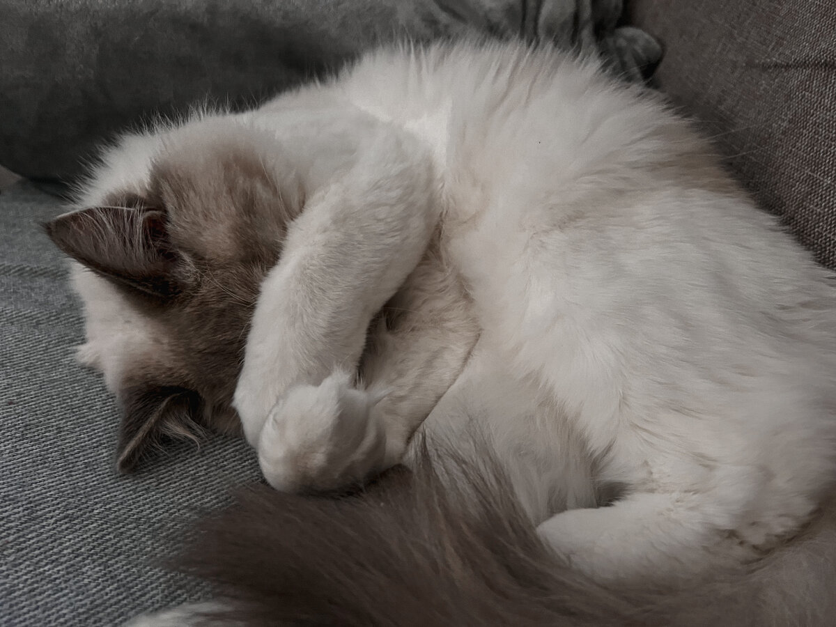 Скрылся, потому что стыдно