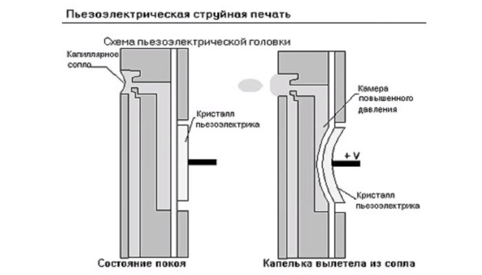 Принтер Epson пишет «нет бумаги»