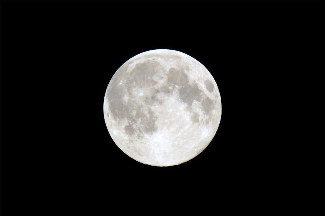 Фото: ИЗВЕСТИЯ/Павел Бедняков