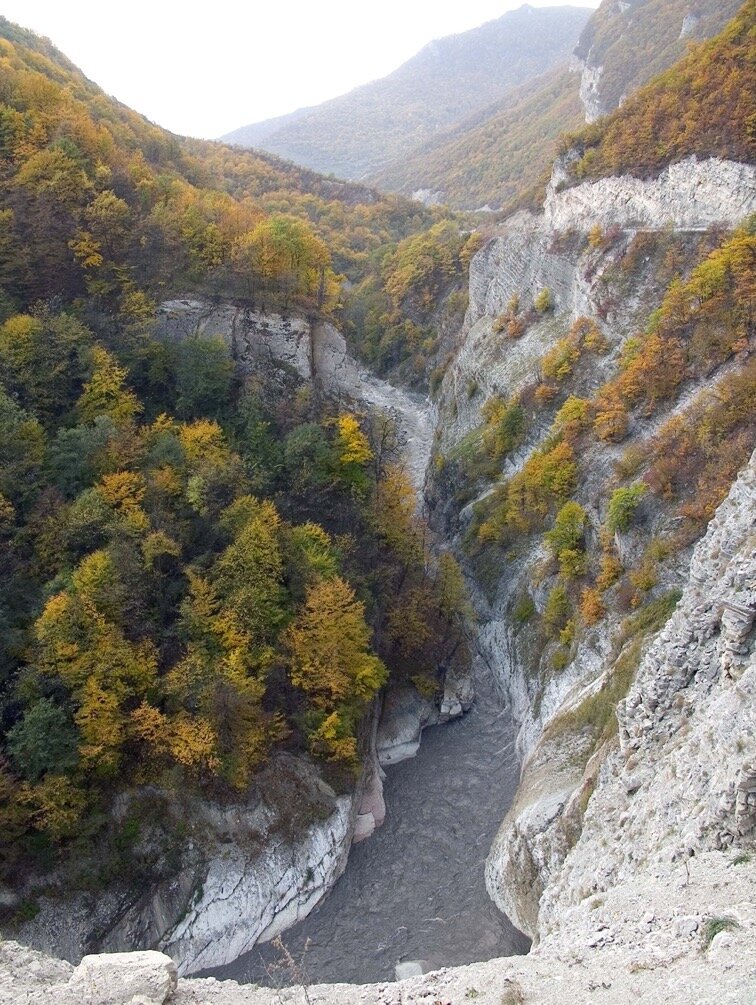 Аргунское ущелье мешехи