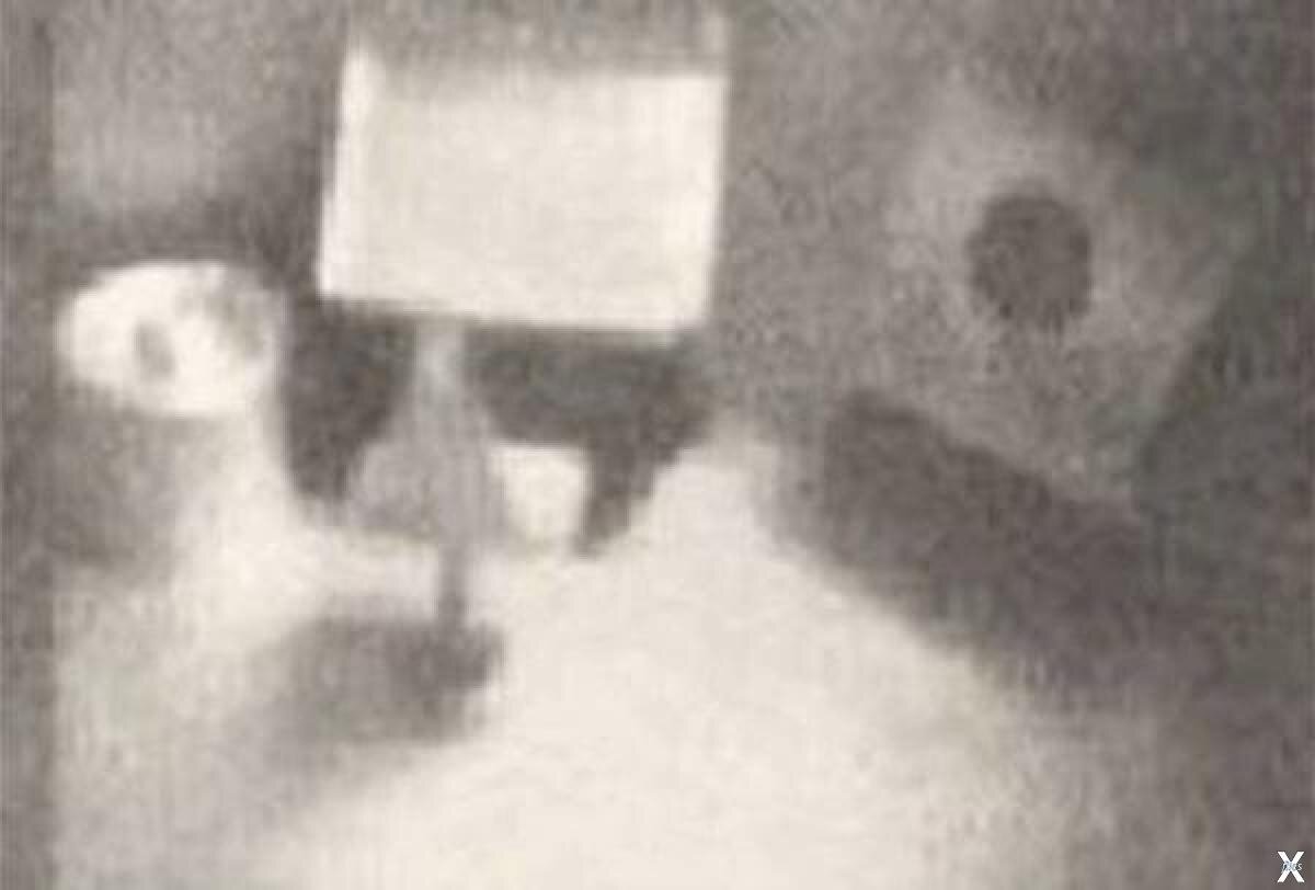 Источник фото: https://x-files.site/images/news/81/3/7/druzprish_3_t5.jpg