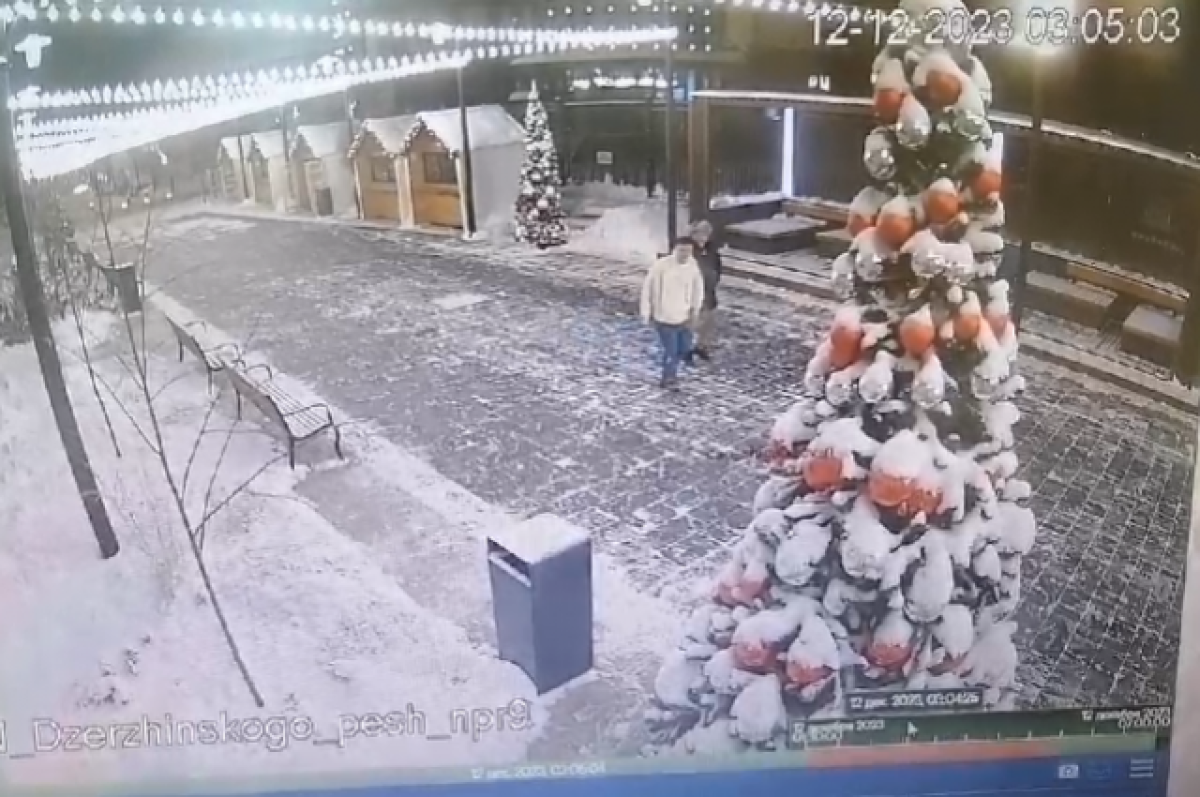    В Тюмени пьяный мужчина сломал новогоднюю елку