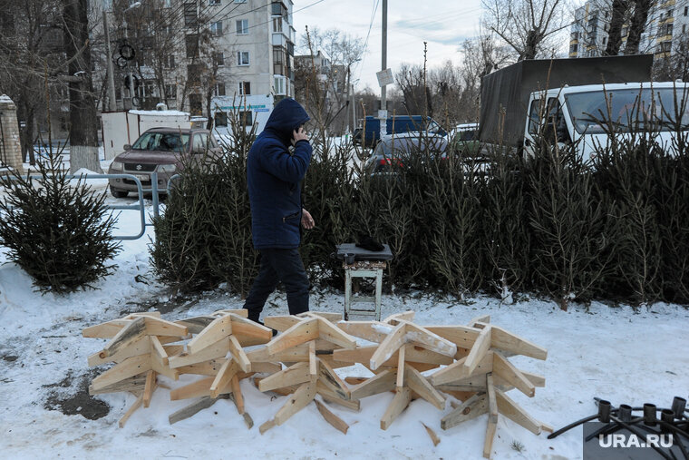    В Кургане скоро откроются елочные базары