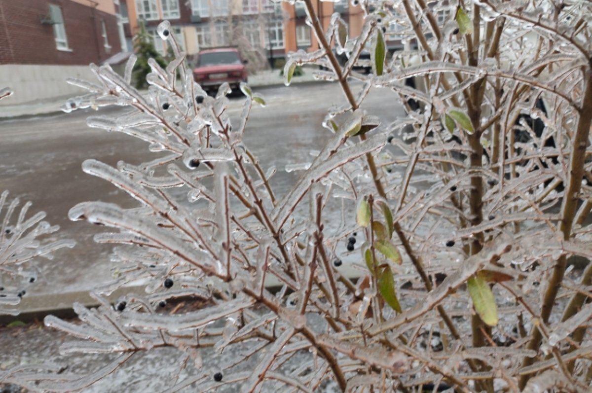    На улице в прямом смысле слова страшно красиво.