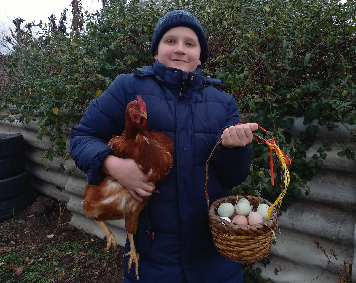 А вот Вове Арнаутову из Черкесска, который дома разводит кур, повышение цен на яйца только на руку. Фото Раисы АРНАУТОВОЙ.