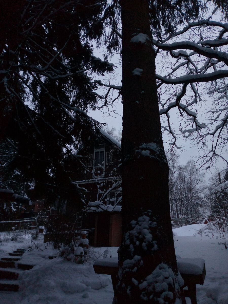 Обитаю в снегах