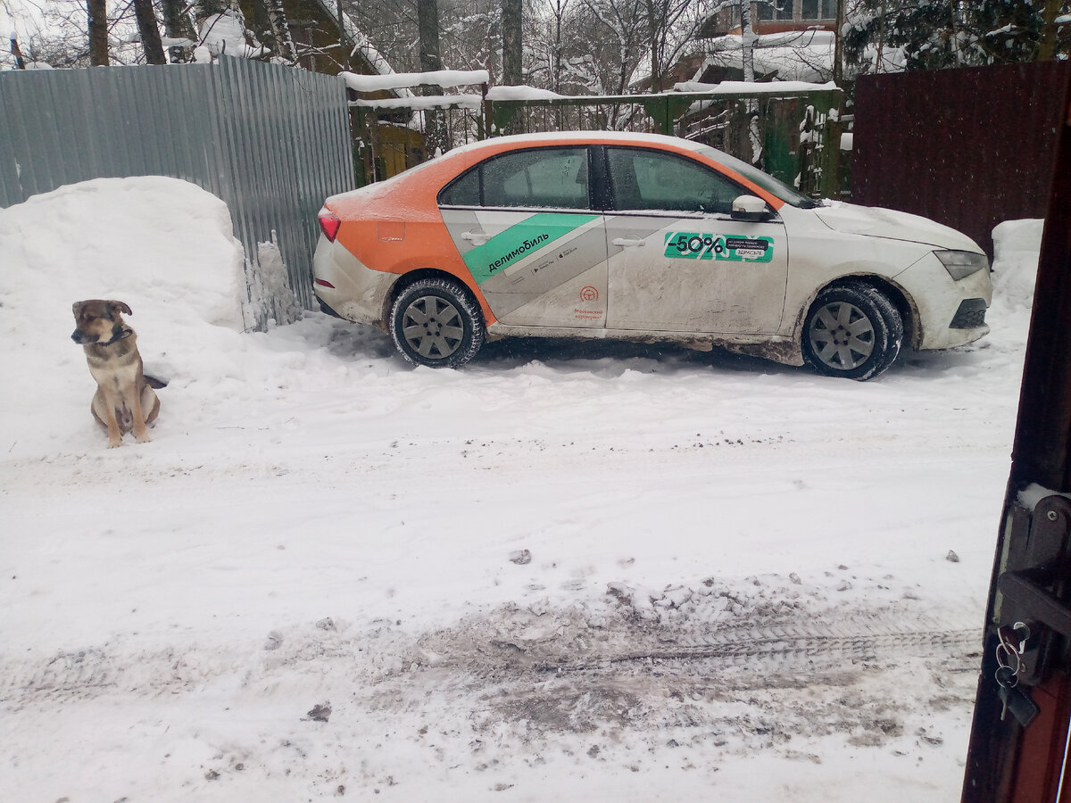 Каршеринг чей то