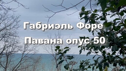 Габриэль Форе. Павана, опус 50. Музыка для души