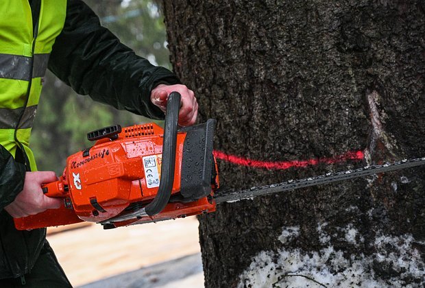    Фото: Рамиль Ситдиков / РИА Новости