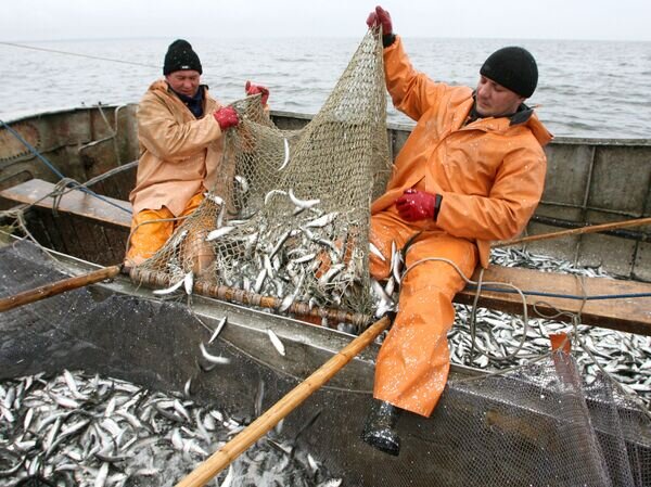    © РИА Новости Игорь Зарембо