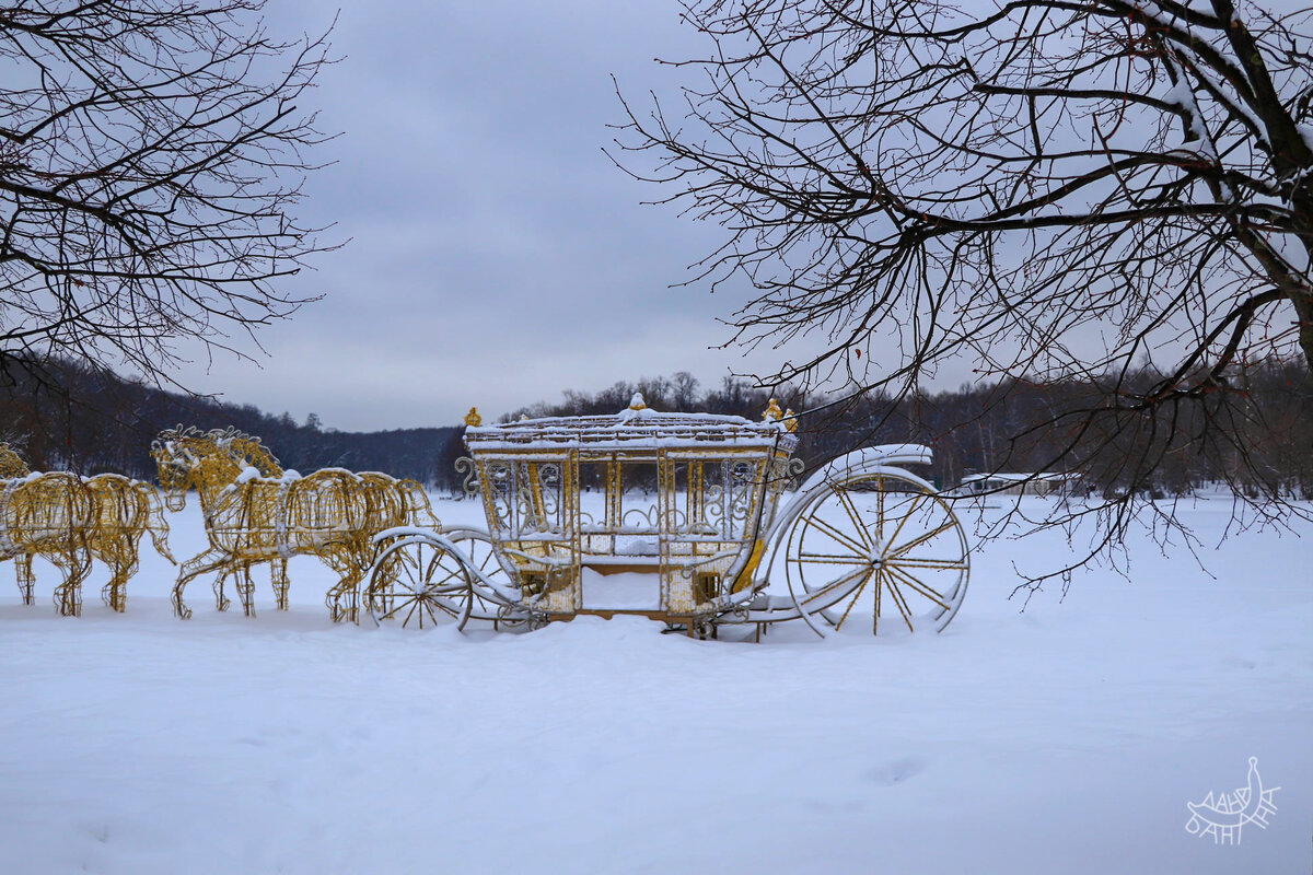 Готичная карета — будто кадр из фильма «Тёмная лощина», кабы действие происходило зимой)