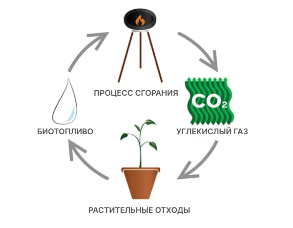 Биотопливо - экологически чистый продукт
