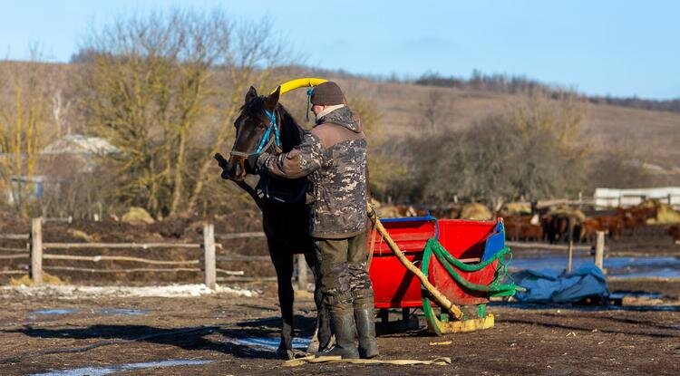 Фото: Алексей Дацковский